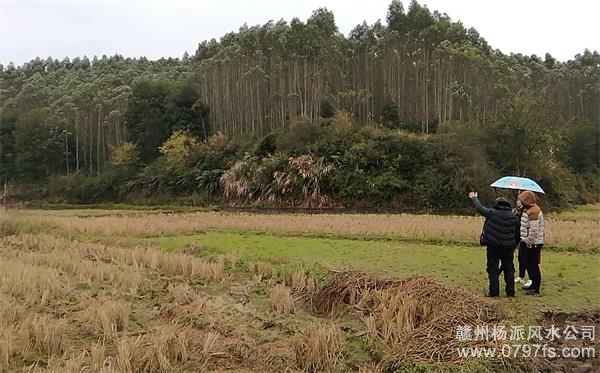 虹口区陈老师带着爱徒寻龙点穴